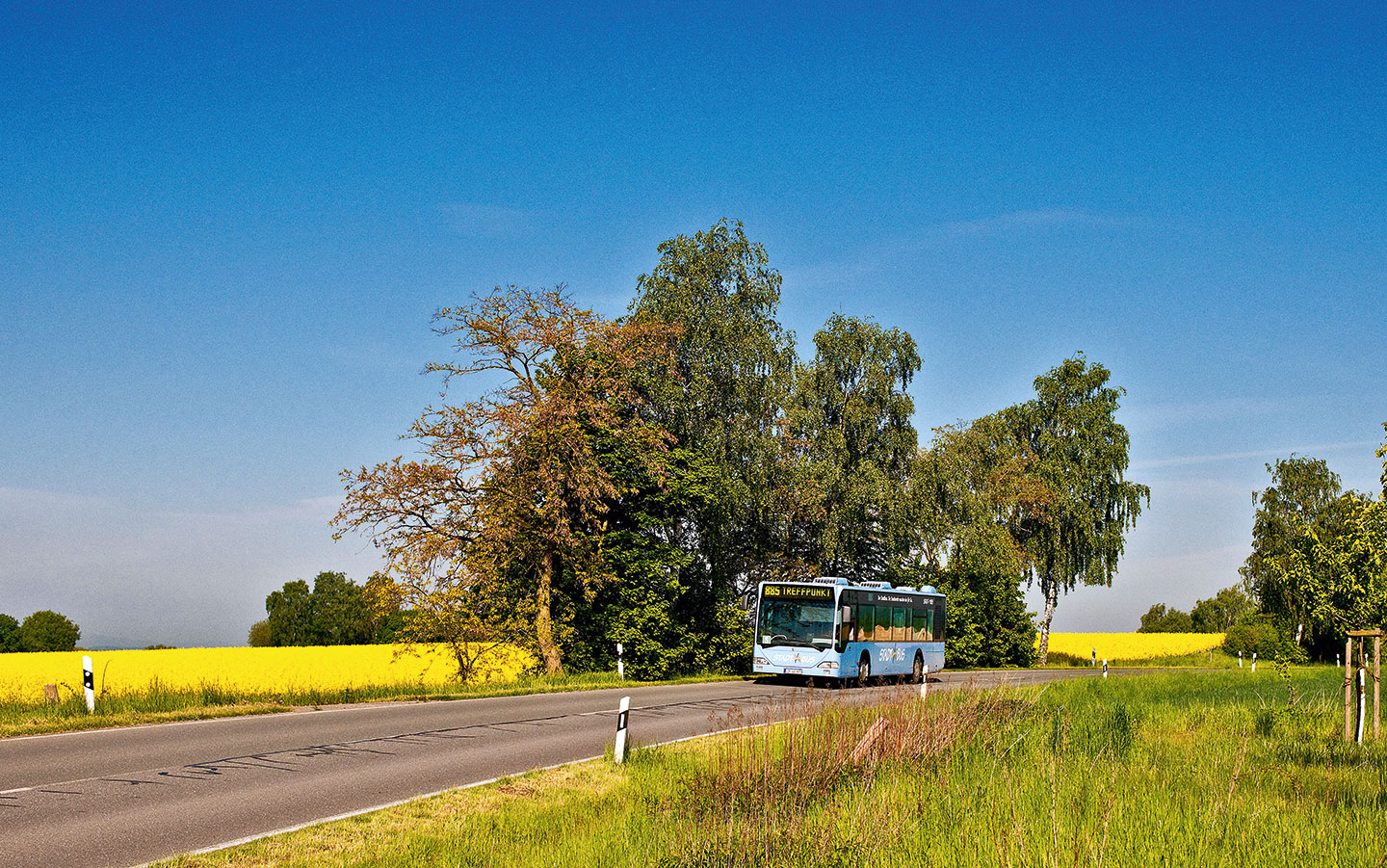 bus_sommer